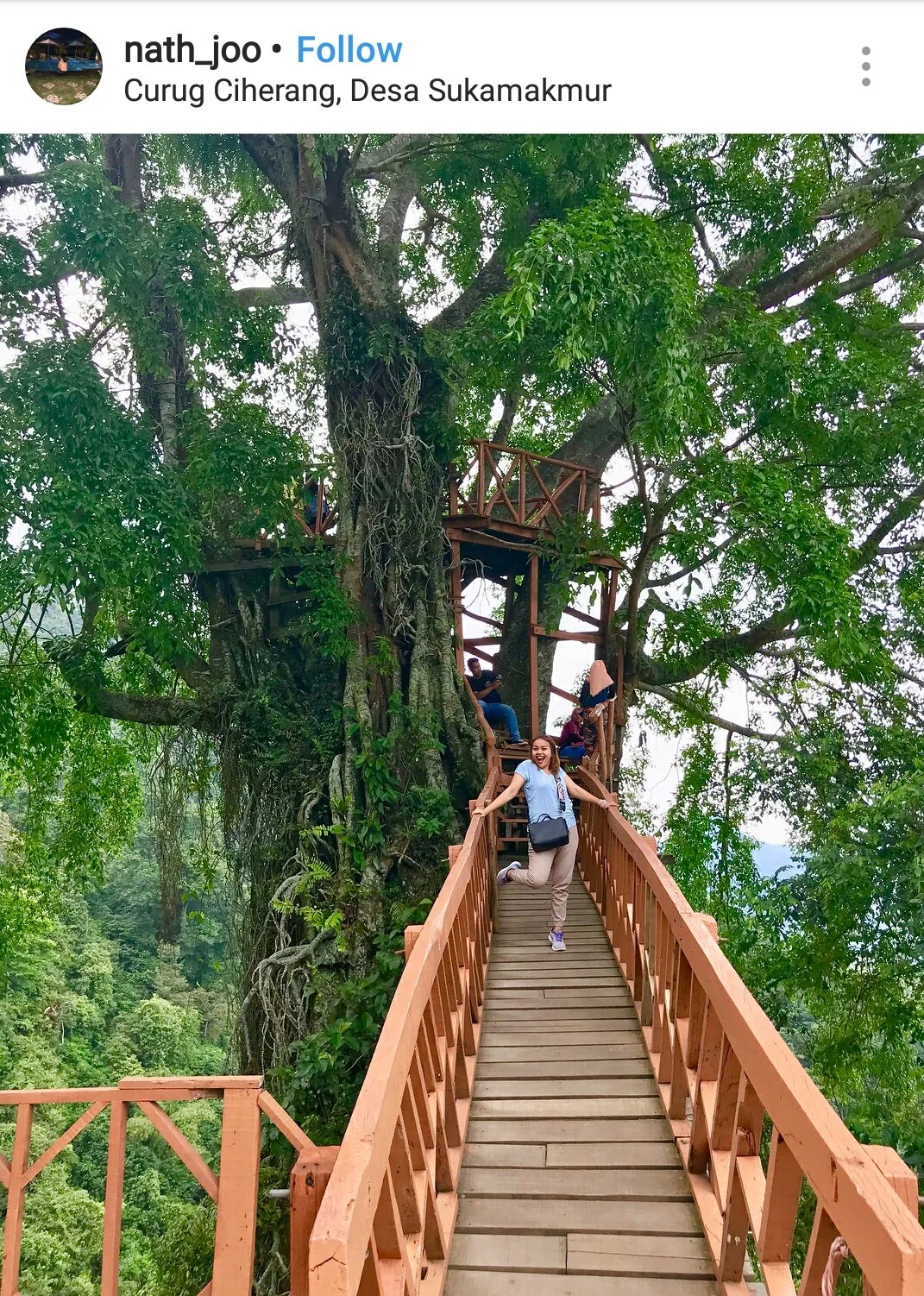 Luar Biasa Rumah Pohon Dan Jembatan Kayu Gantung Curug Ciherang Jonggol 
